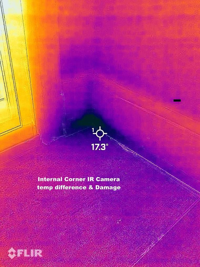Thermal image showing temperature difference and moisture damage in an internal corner